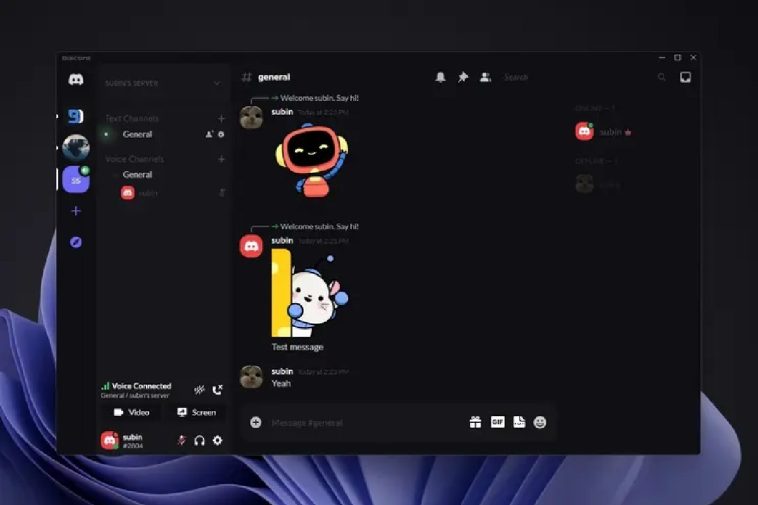 Discord Web Themes