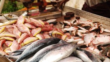 How to Run Fishmonger Business_